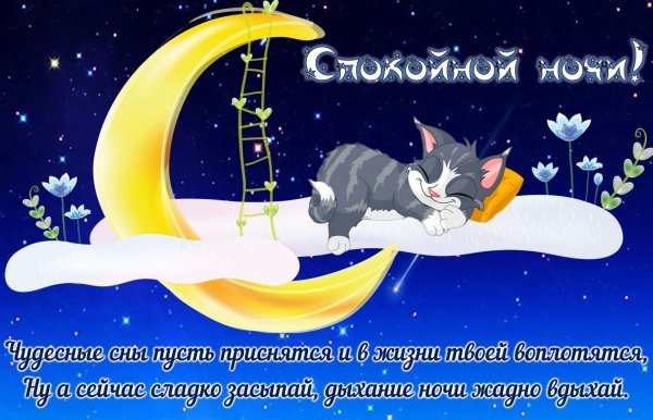Спокойной ночи