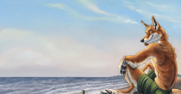 Фурри Лис Динго