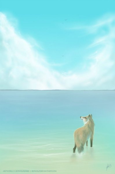 Лиса на берегу моря