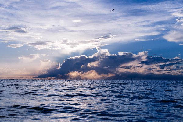 Море Горизонт