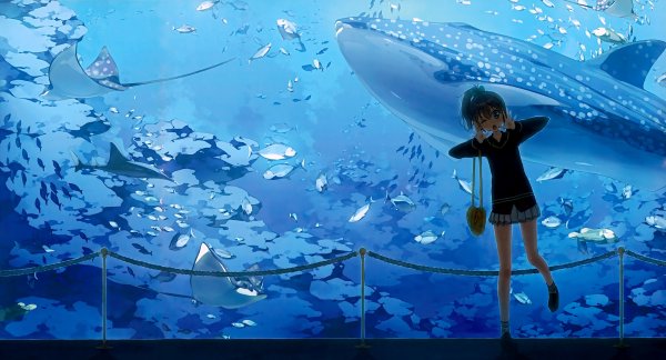Аниме аквариум
