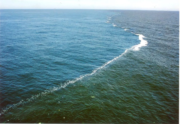 Аляскинский залив