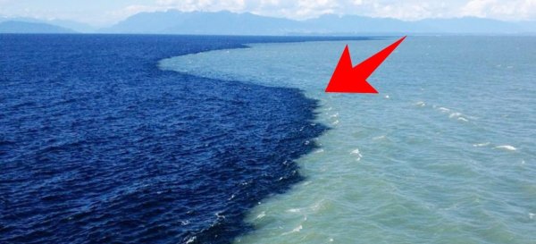 Галоклин Балтийское море