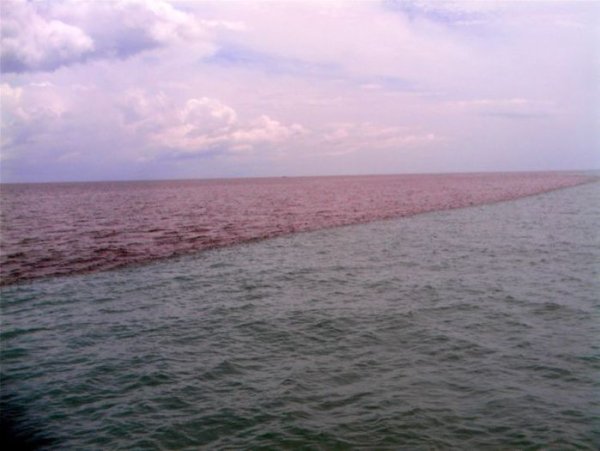 Скаген Дания два моря