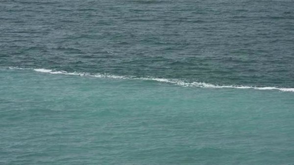 Галоклин Скаген