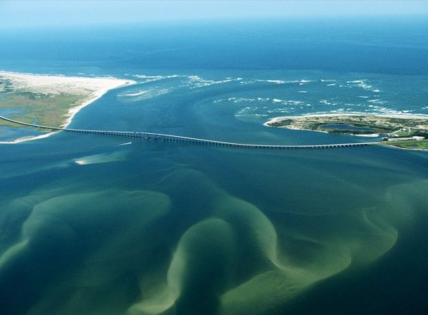 Галоклин Скаген