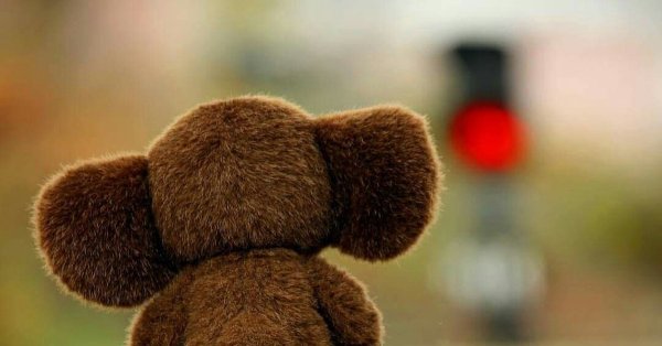 Чебурашка на берегу моря