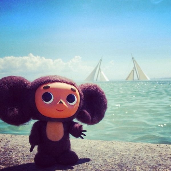 Плюшевый мишки на берегу моря