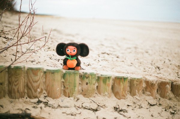 Мы строили строили и наконец построили