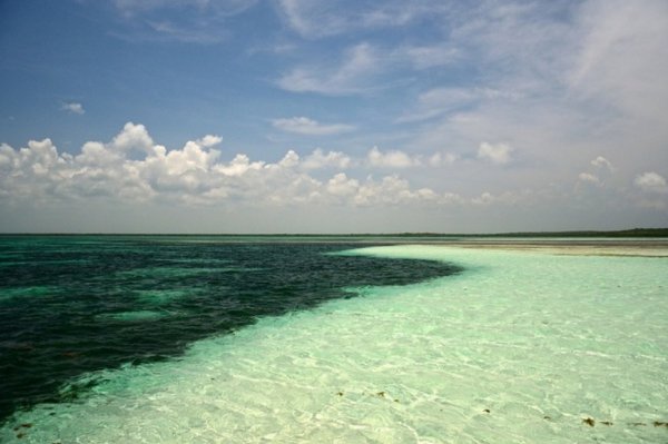 Синее море картинки