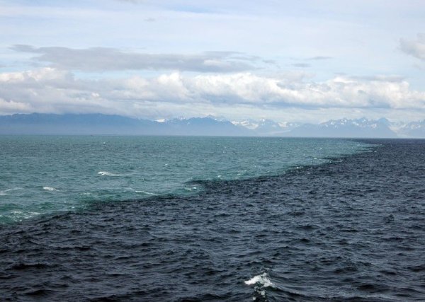 Галоклин в море