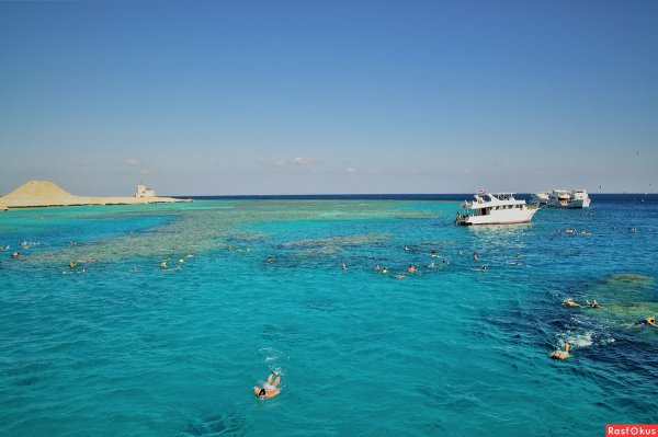 Египет красное море Panorama