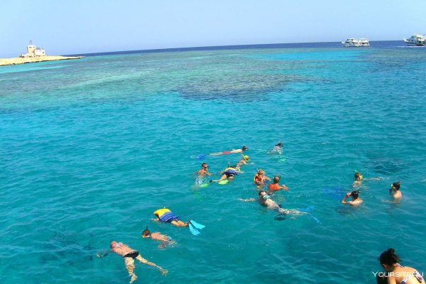 Снорклинг в Хургаде