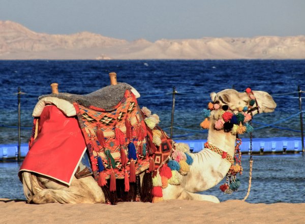 Египет пляж