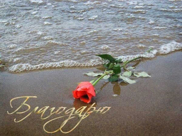 Спасибо море