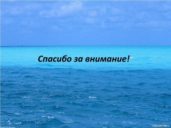 Спасибо за внимание море