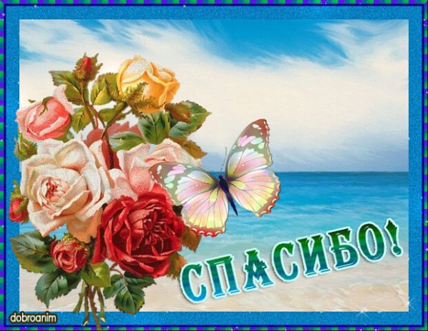 Спасибо за внимание море