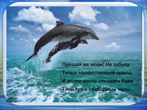 До свидания море стихи
