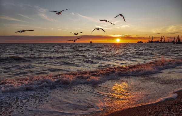 Надпись на песке счастье