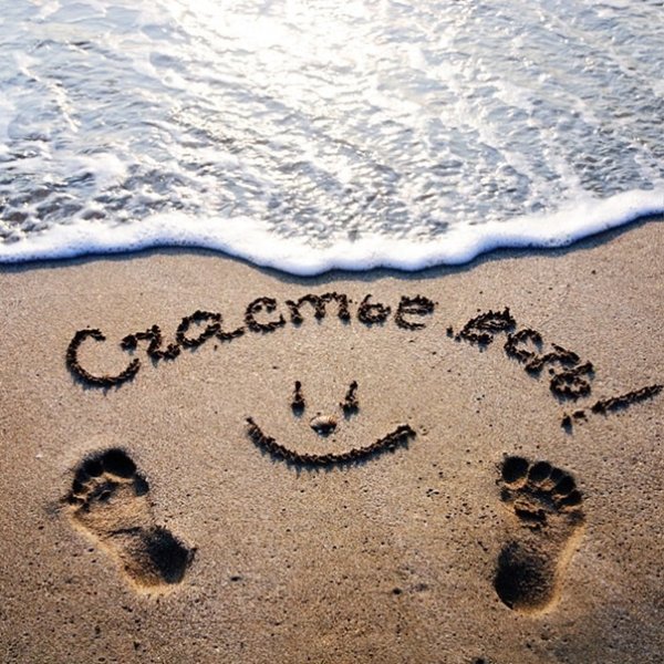 До встречи море