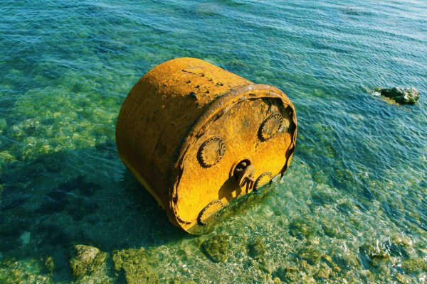 Диоген в бочке картина