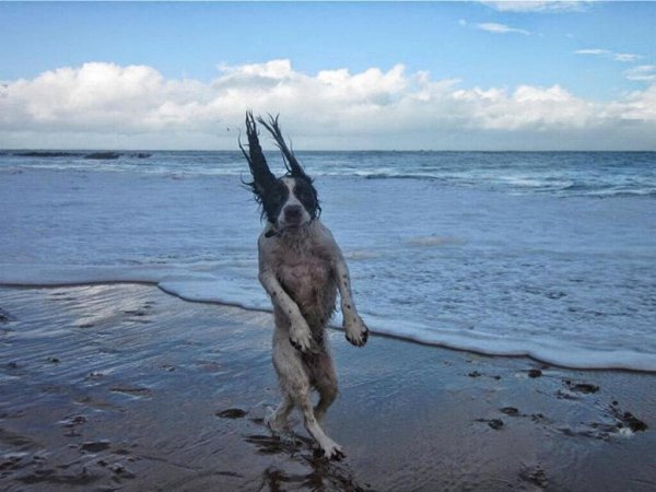 На море прикольные
