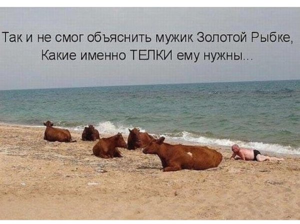 Отпуск юмор