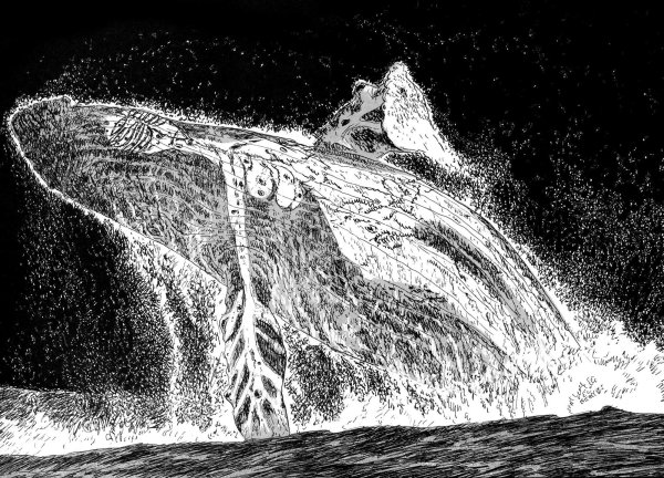 Атака титанов Манга армин