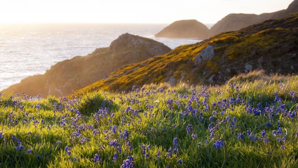 Море весной