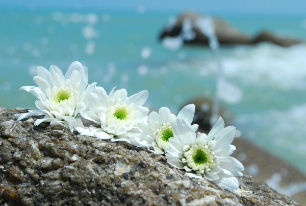 Море весной