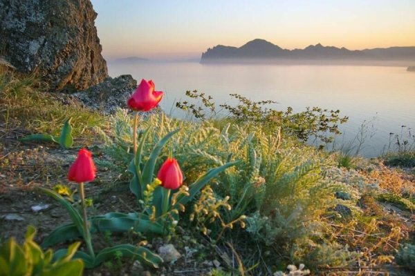 Ранняя Весна в Крыму