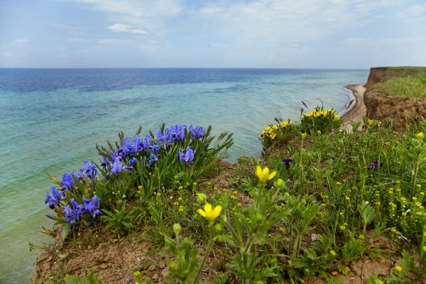 Степной Крым , горный Крым , Черноморское побережье