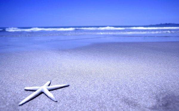 Море и небо