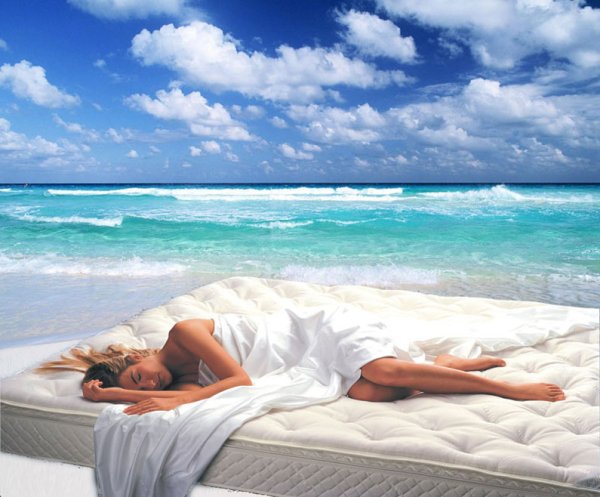 Море спокойной ночи дельфины