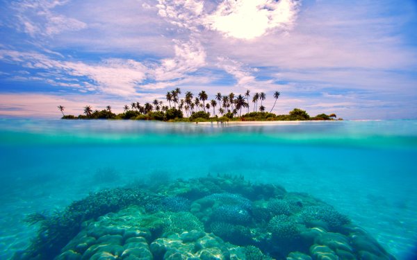 Индийский океан Мальдивы