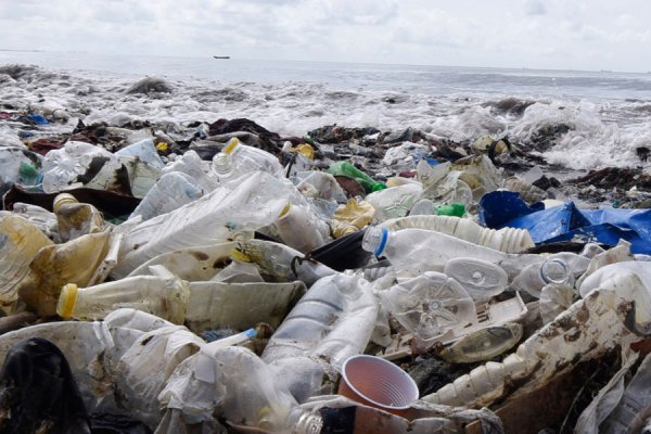 Загрязненные моря