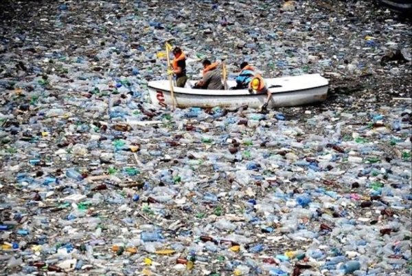 Норникель загрязнение реки