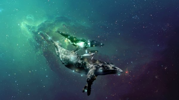 Океан с космоса