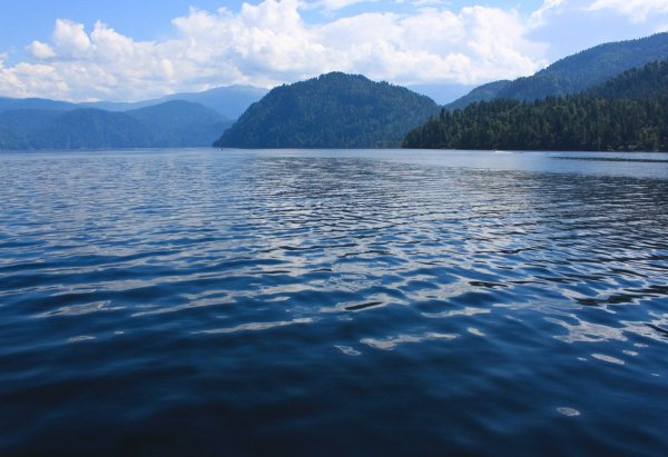 Телецкое озеро Алтай