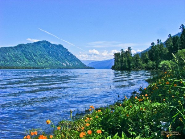 Altay sense горный Алтай