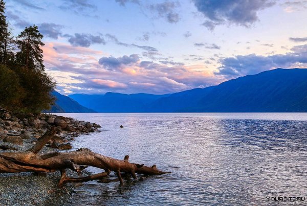 Озеро Чиф Калифорния