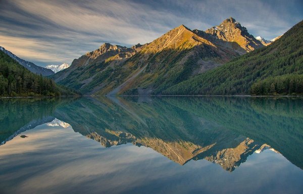 Природа горного Алтая Катунь