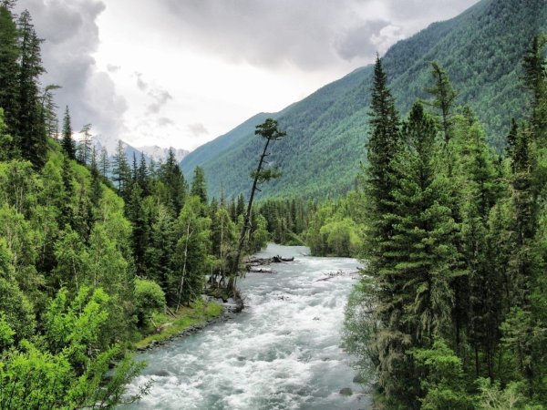 Шавлинское озеро горный Алтай