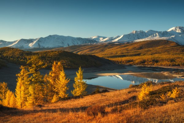 Алтай Кучерлинское озеро лошади
