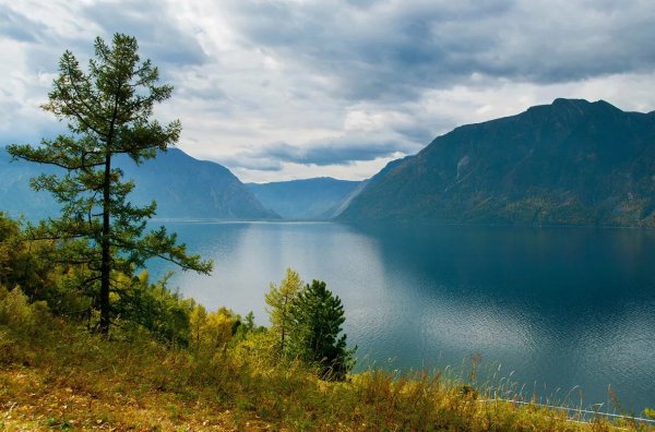 Телецкое озеро («золотое озеро», Алтайский край)