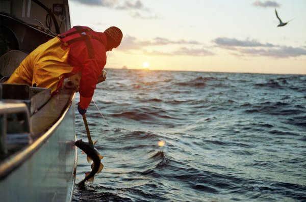 Корабль для рыбалки