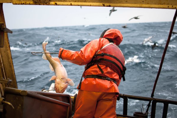 Берингово море рыболовство