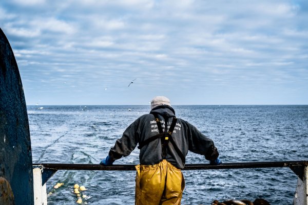 Англия рыболовный мир