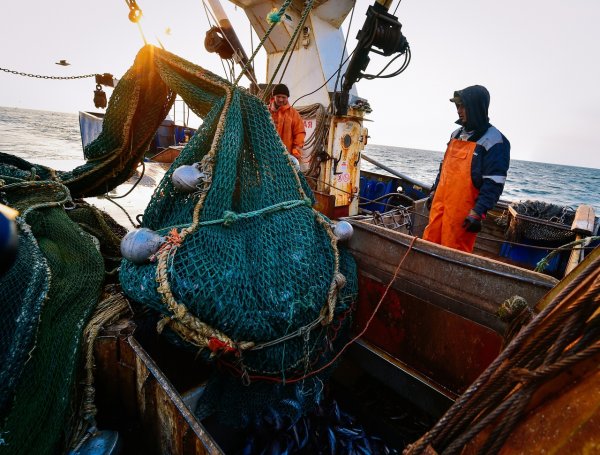 Рыболовное судно в море