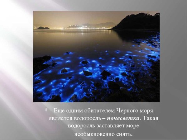 Тема у чёрного моря